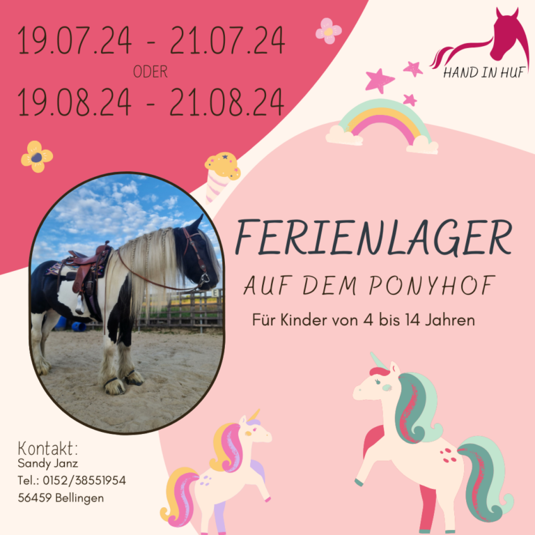 Ferienlager auf dem Ponyhof in Bellingen im Westerwald im Sommer 2024